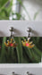 boucles d’oreilles » couronnes »  Lapetra